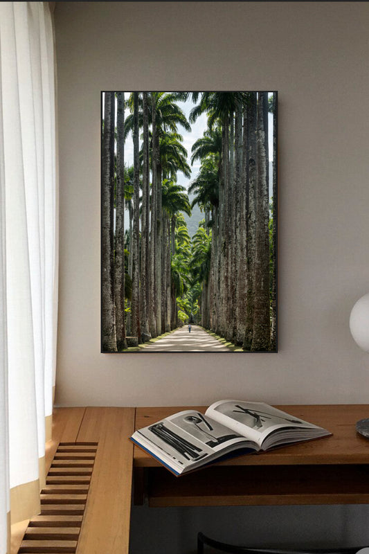 Jardim Botanico, Rio de Janeiro