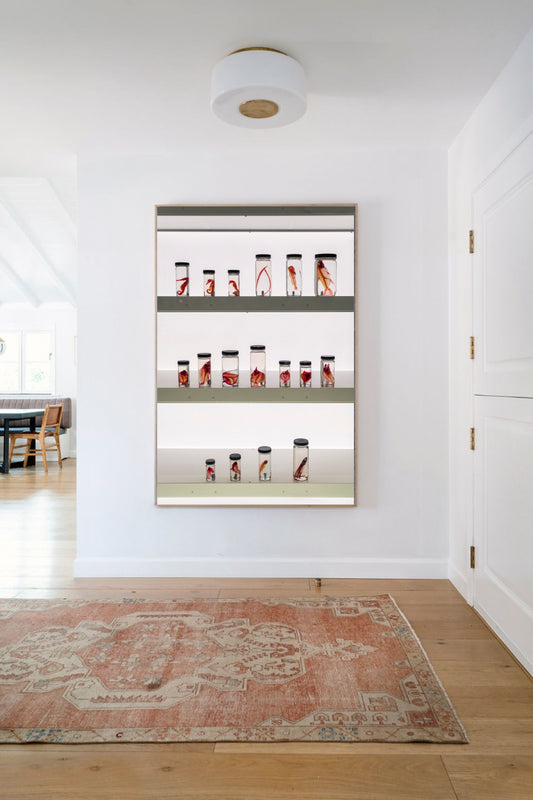 American Museum of Natural History