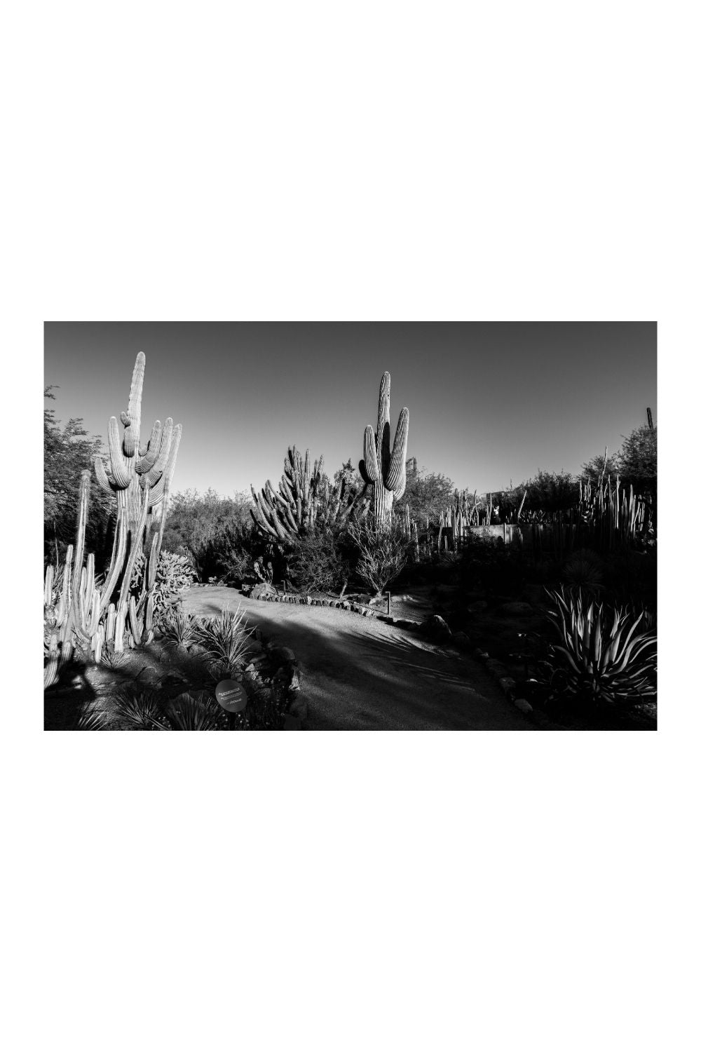 Phoenix, Arizona