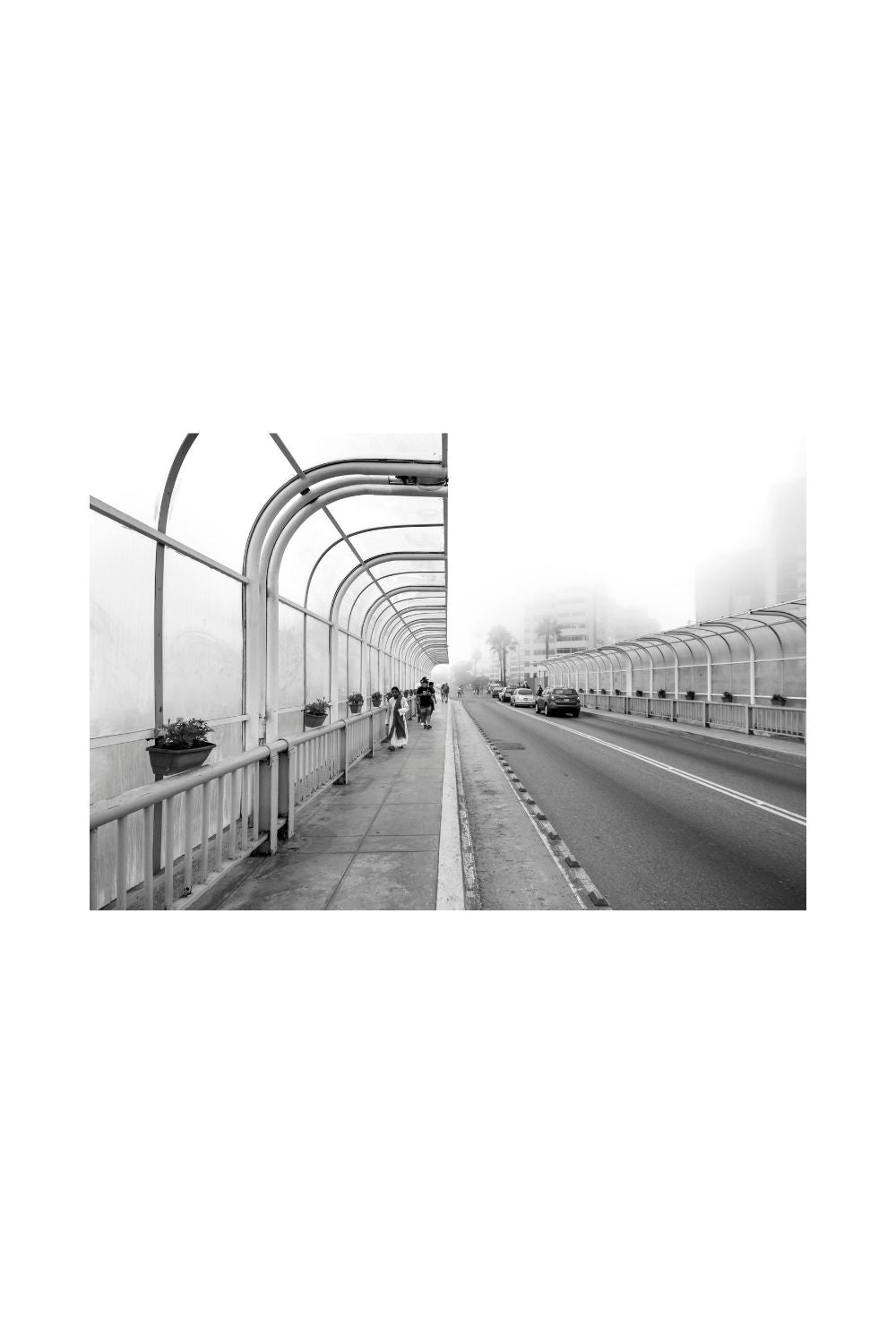 Lima 06