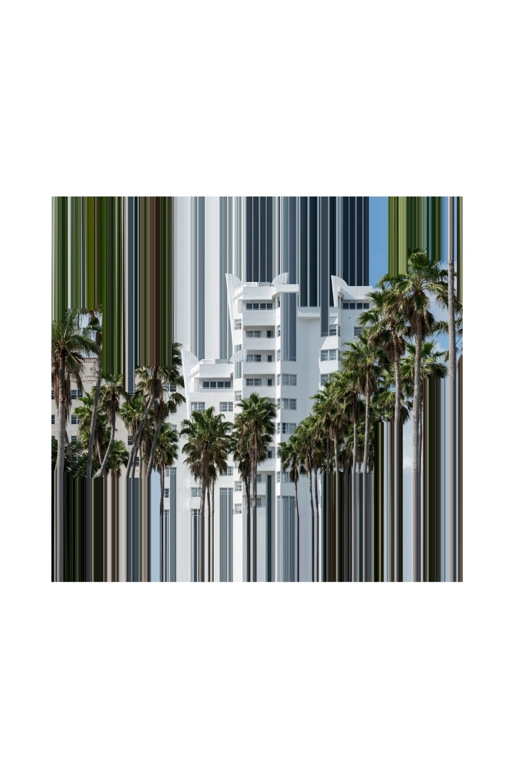 Miami 12