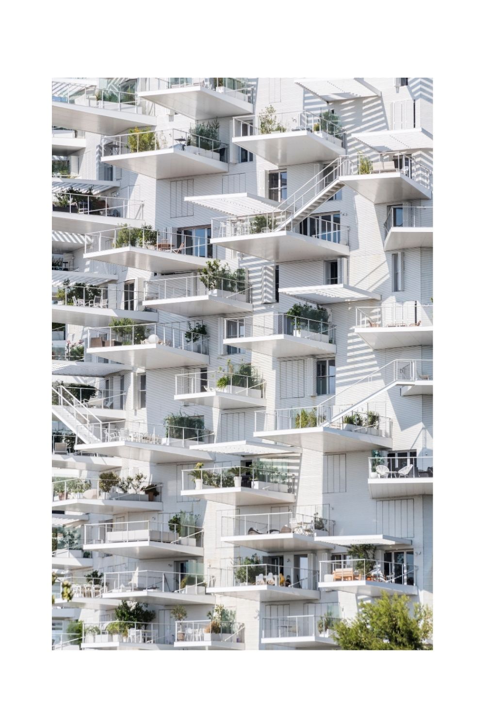 Montpellier