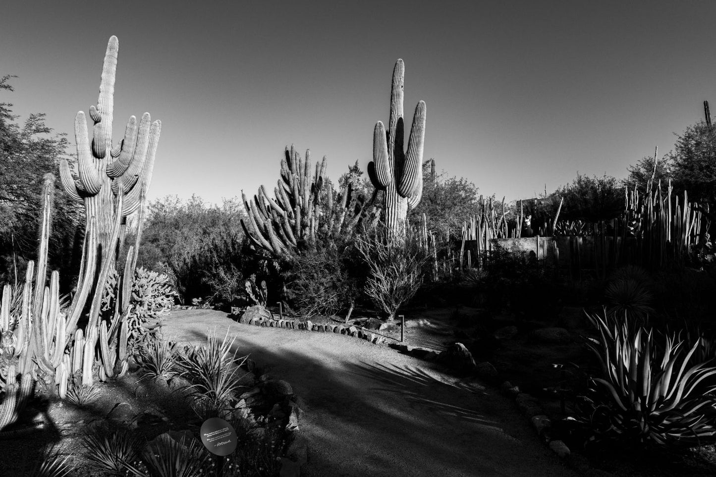 Phoenix, Arizona