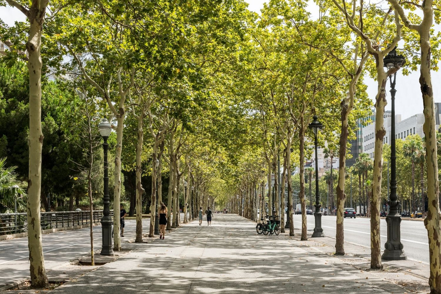 Avenida Diagonal, Barcelona