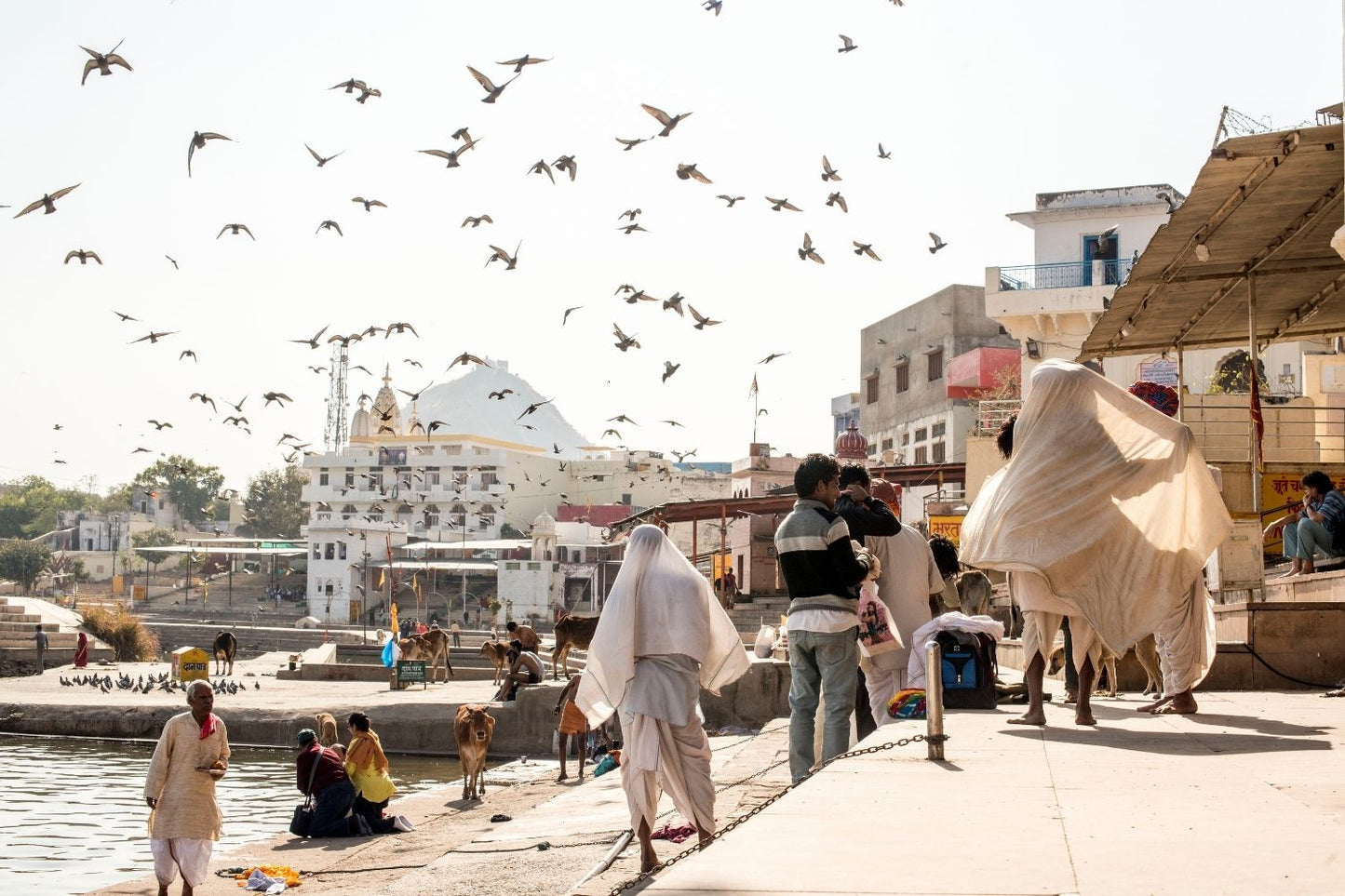 Pushkar 02