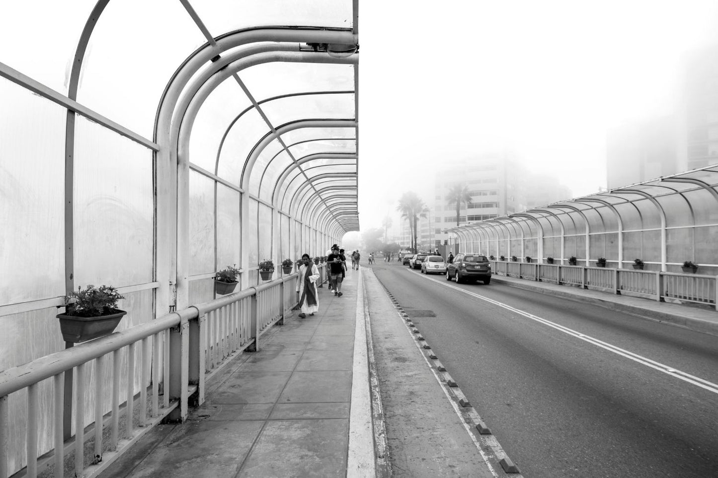 Lima 06