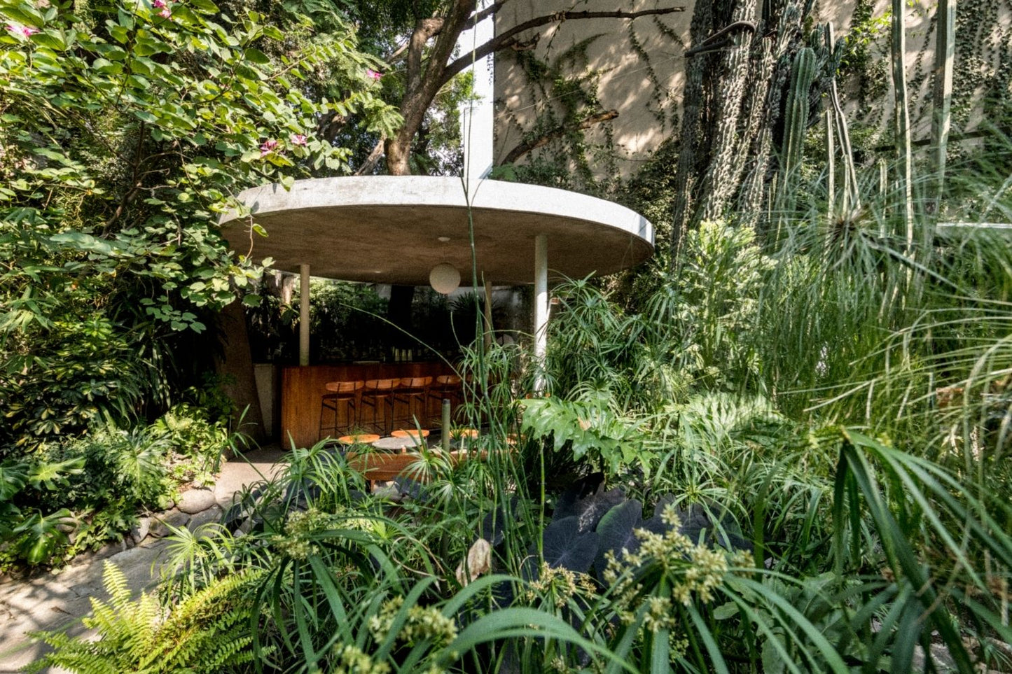Botánico, CDMX