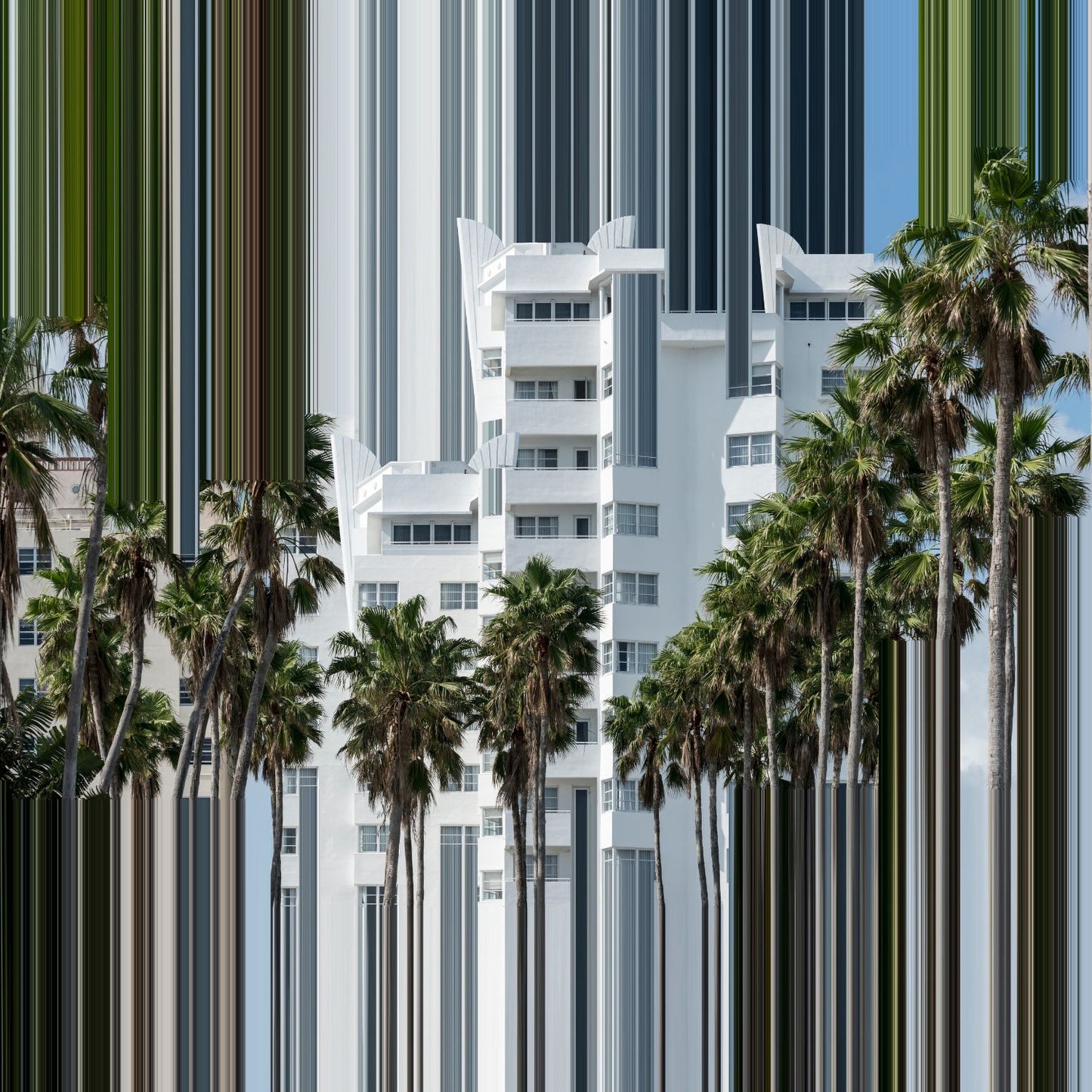 Miami 12