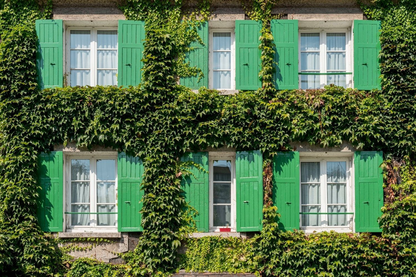 Montmartre, Paris