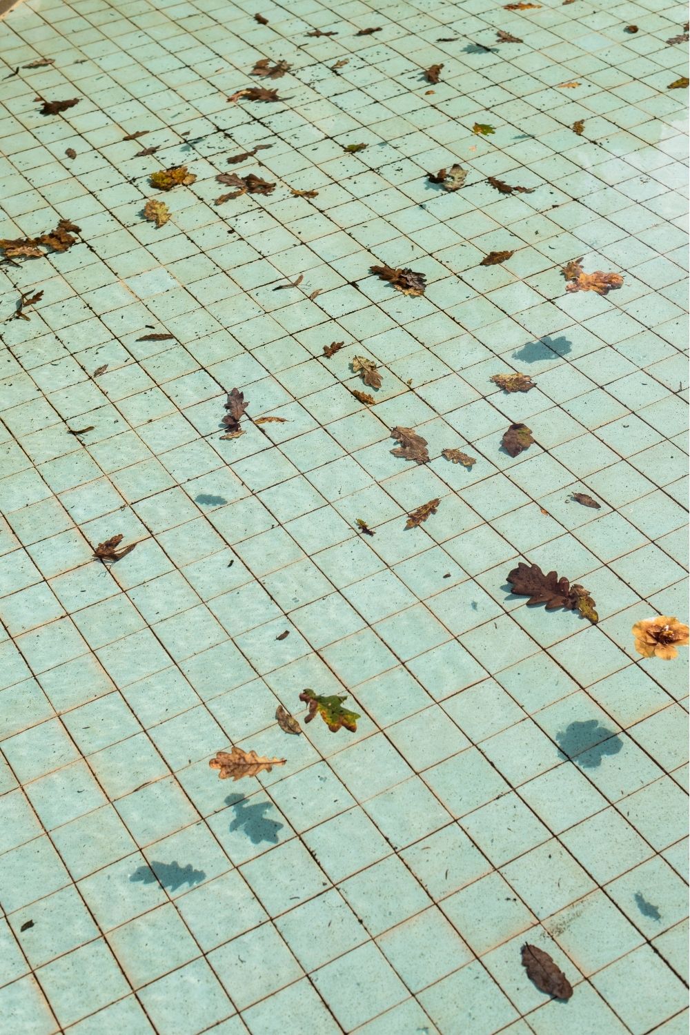 Serralves 02, Portugal