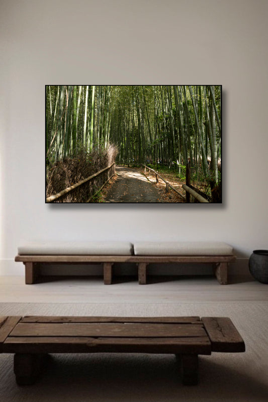 Kyoto 11