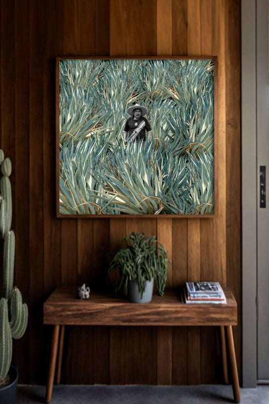Agaves, CDMX