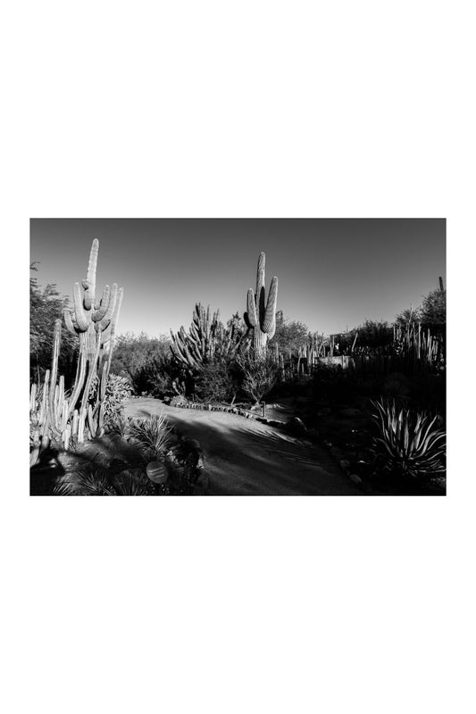 Phoenix, Arizona