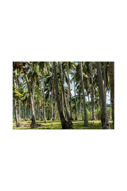 El Nido 01, Filipinas