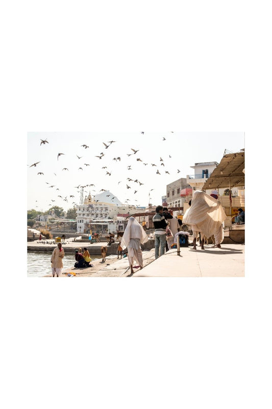 Pushkar 02