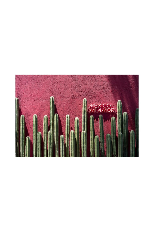 México mi amor
