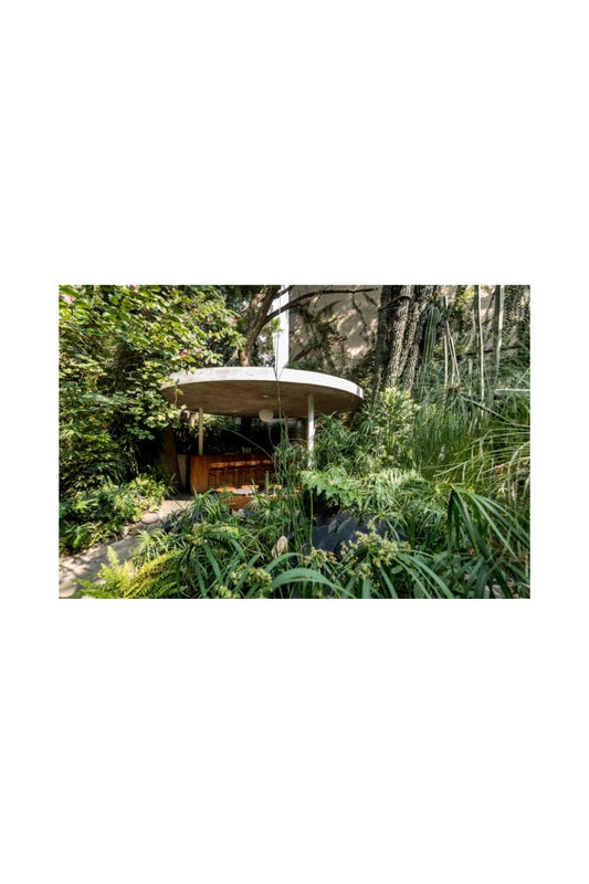 Botánico, CDMX