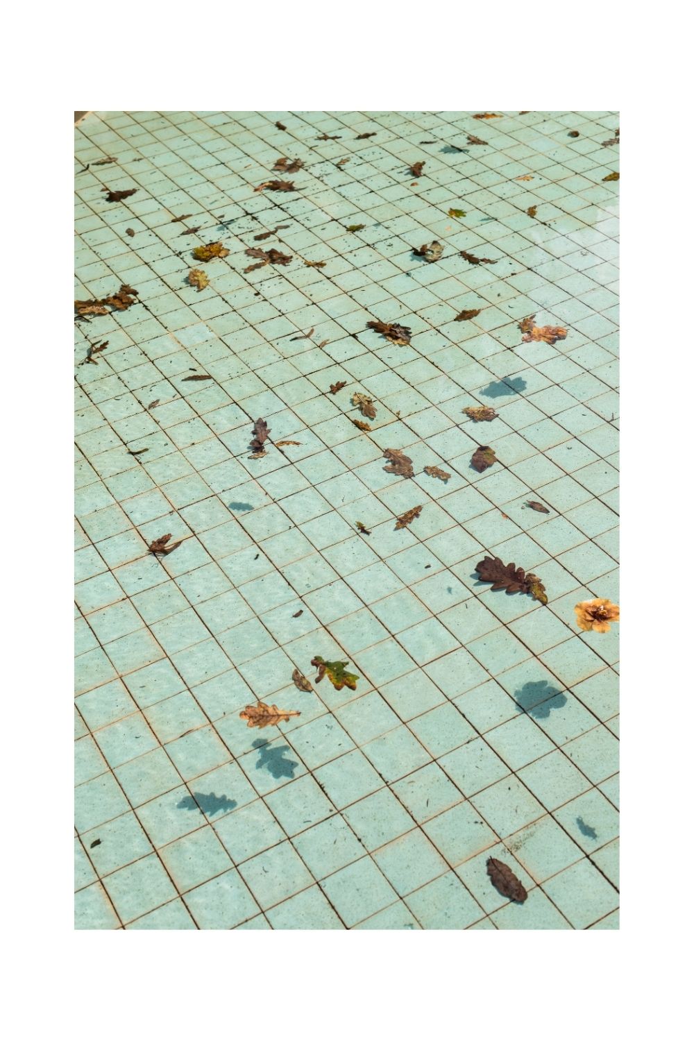 Serralves 02, Portugal