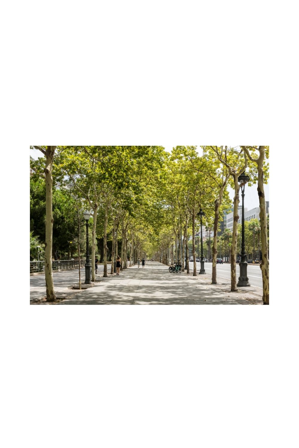 Avenida Diagonal, Barcelona