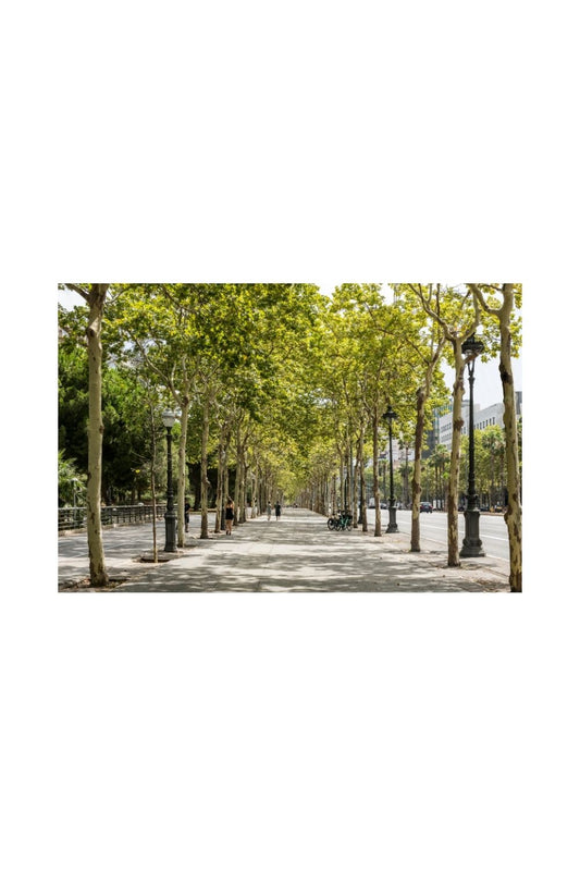Avenida Diagonal, Barcelona