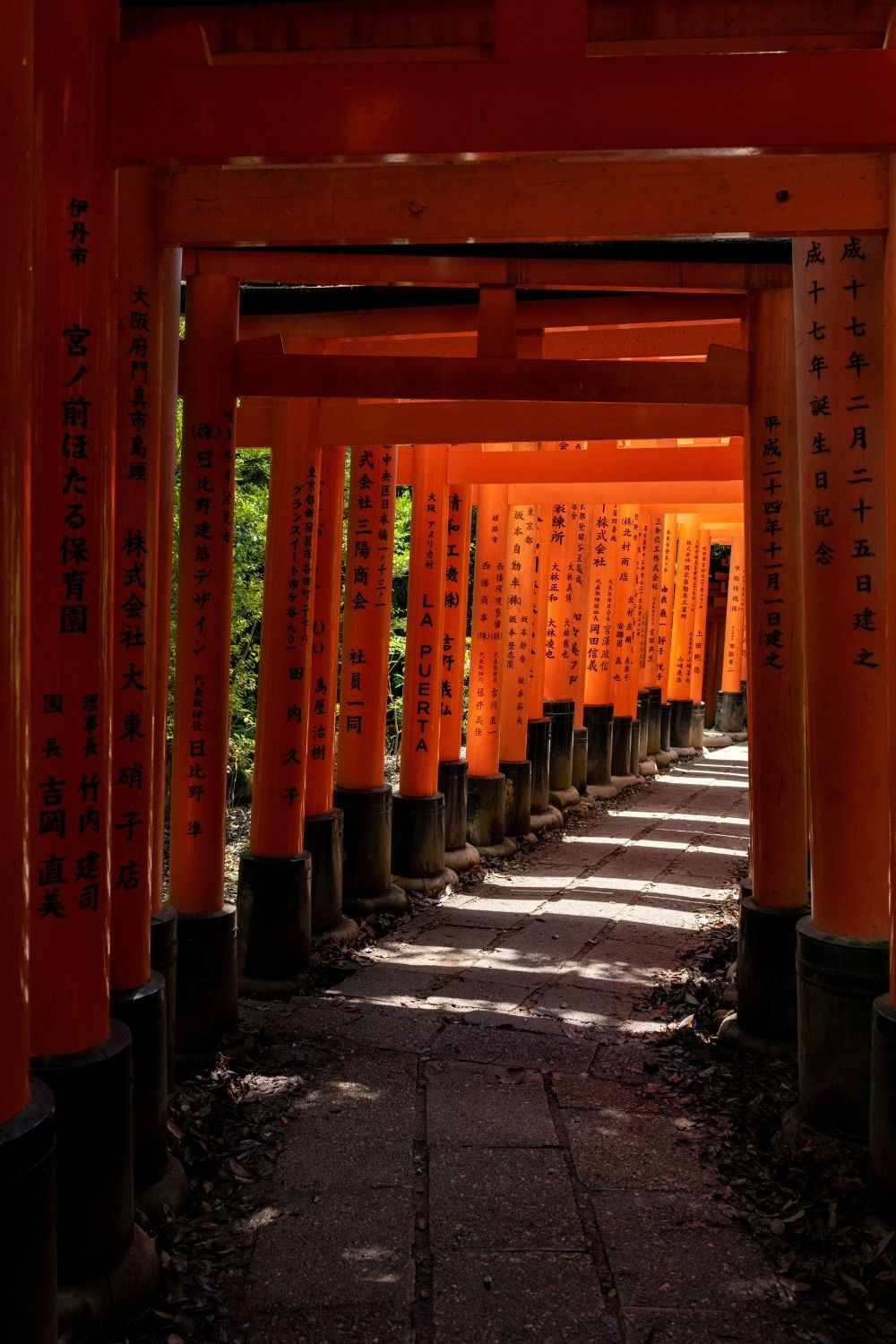 Kyoto 10