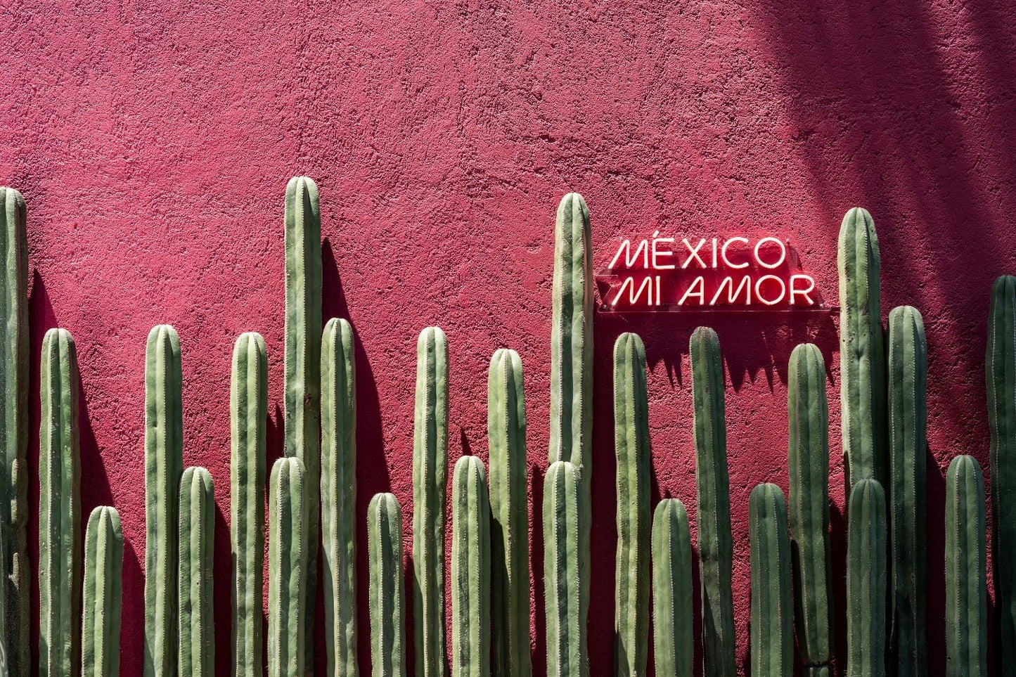 México mi amor