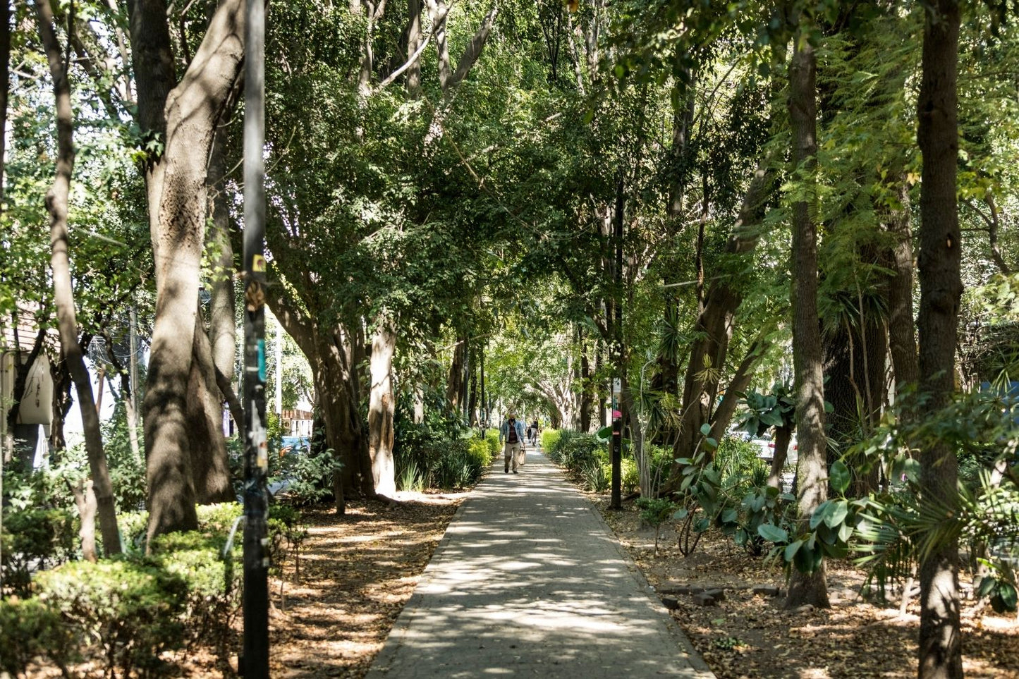 Condesa, CDMX